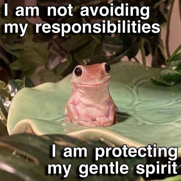 Thumbnail of I am protecting my gentle spirit | Are.na