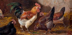 Thumbnail of You Want to Be a Better Writer? Observe Chicken Behavior