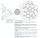 Thumbnail of In a series of interviews with systems changes, one of the main abilities required of systems innovators is the ability to exist and navigate "liminal spaces". The term "liminal" comes...