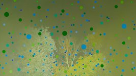 Thumbnail of Four Tet: Parallel / 871 Album Review | Pitchfork