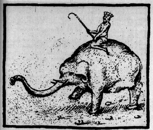 Thumbnail of Hanno (elephant)