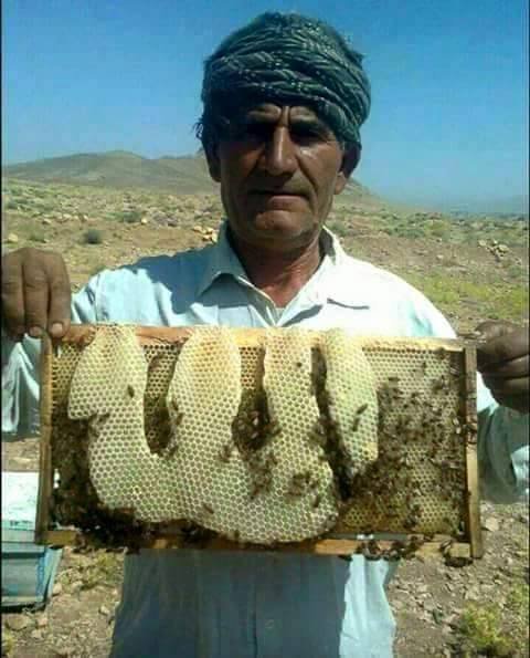 Thumbnail of 40684298_1913127218767547_272103903531630592_n.jpg | Are.na