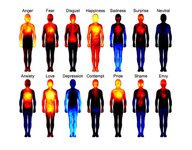 Thumbnail of These Heatmaps Reveal Where Humans Feel Certain Emotions