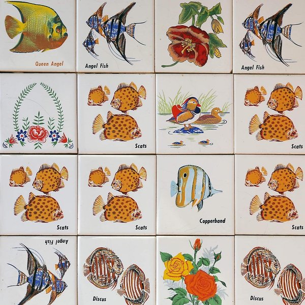 Thumbnail of Image