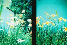 Thumbnail of Writing: A Checkpoint