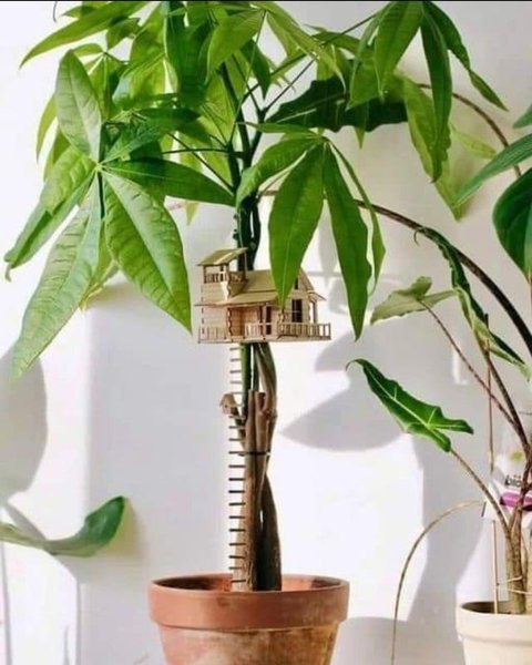 Thumbnail of r/thingsforants - Reddit