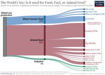 Thumbnail of Lobke Faasen on LinkedIn: Nee, soja uit tofu, sojamelk en vleesvervangers leidt niet tot ontbossing.… | 15 comments