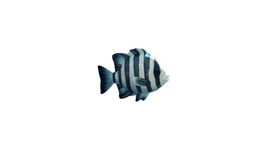 Thumbnail of Images tagged with fish, png, .png – @khlacnh on Tumblr