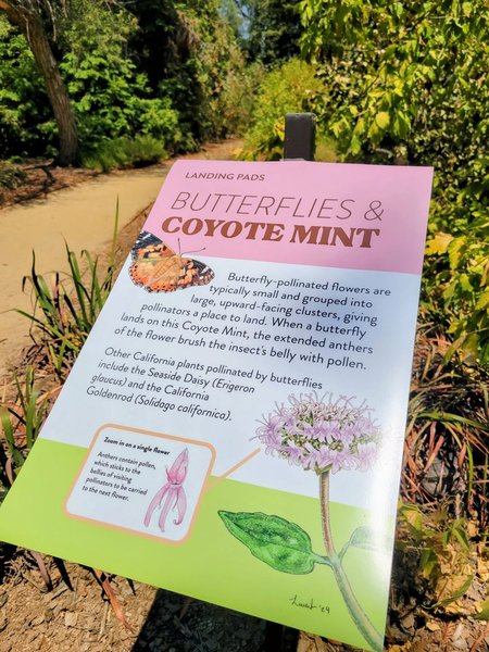 Thumbnail of Robert Kaplan · Follow