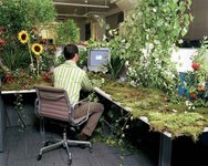 Thumbnail of Your ideas need a home: grow your digital garden in 2026