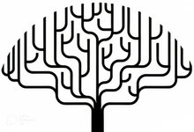 Thumbnail of Your IQ isn't 160. No one's is.