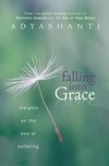 Cover of Falling into Grace: Insights on the End of Suffering