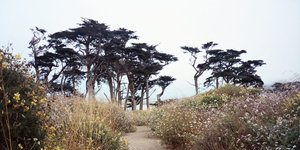 Thumbnail of Ten things, part five