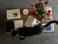 Thumbnail of 30 journaling prompts for august