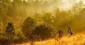 Thumbnail of Rewilding job alert: we are looking for you!