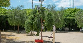 Thumbnail of Autonomous Tree