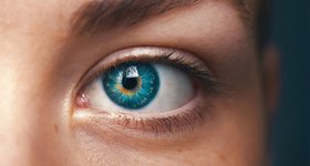 Thumbnail of The Eightfold Path: Right View