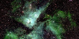 Thumbnail of The Universe Might Be Thinking Through... Your Tongue?! Why Your Cells Could Be Conscious: The Nested Observer Window Theory of Consciousness