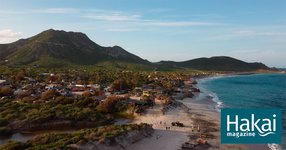 Thumbnail of Buying Baja | Hakai Magazine