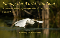 Thumbnail of Facing the World with Soul