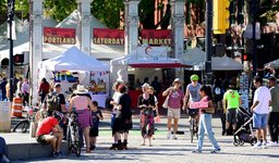 Thumbnail of Fabricating Dangers, Ignoring Real Threats