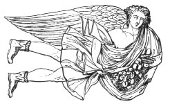 Thumbnail of Astreo