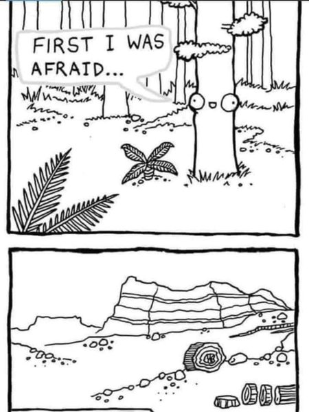 Thumbnail of Robert Kaplan · Follow