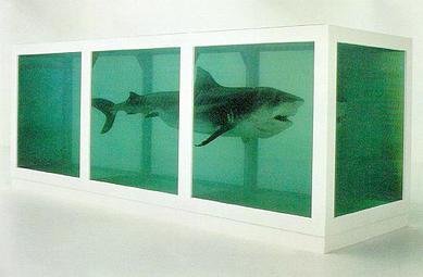 Thumbnail of damien hirst shark - Google Search