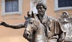 Thumbnail of Stoic Quotes: The Best Quotes From the Stoics – Daily Stoic | Stoic Wisdom for Everyday Life