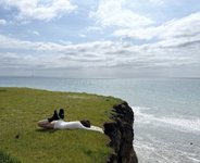 Thumbnail of the disappearance of awe (and what it does to our brain)
