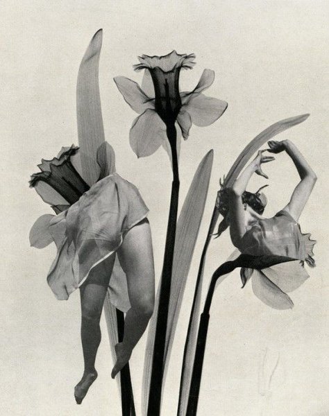 Thumbnail of Image