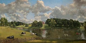 Thumbnail of Out of the Landscape, into the Portrait