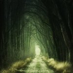 Thumbnail of Modern Mythopoeia