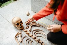 Thumbnail of Will Future Civilizations Bother to Excavate Our Remains?