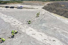 Thumbnail of Giant tracks show how dinosaurs roamed the UK millions of years ago
