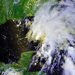 Thumbnail of Tropical Storm Barry (2007)
