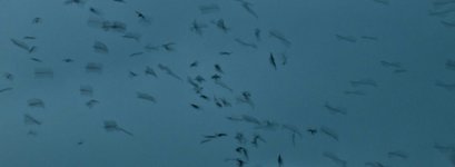 Thumbnail of Though I Have Never Been to Ostia, I Have Seen the Place Where Our Dreams Died | Momtaza Mehri | Granta