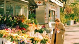 Thumbnail of how to become gently interesting