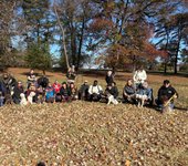 Thumbnail of Driscoll's Lagotto Romagnolo - Lagotto Romagnolo  Puppies for Sale in Alexandria, VA | AKC Marketplace