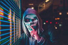 Thumbnail of The optimal amount of fraud is non-zero