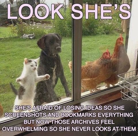 Thumbnail of @aidenarata