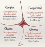Thumbnail of What is complexity?