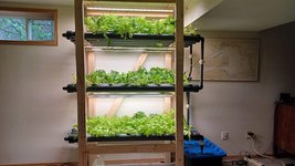 Thumbnail of A Beginner’s Guide To Hydroponics