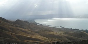 Thumbnail of Ecology of Transfiguration