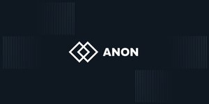 Thumbnail of Anon | The Integration Platform for the AI Internet