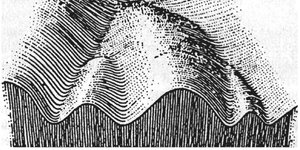 Thumbnail of Reflections on Canalization and Psychopathology