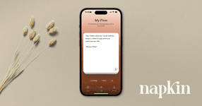 Thumbnail of Napkin iPhone Beta