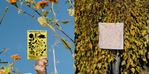 Thumbnail of On Sowing Seeds and the Wonder of Germination