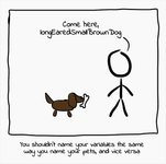 Thumbnail of On Importance of Naming in Programming | Wasp