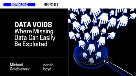 Thumbnail of Data Voids